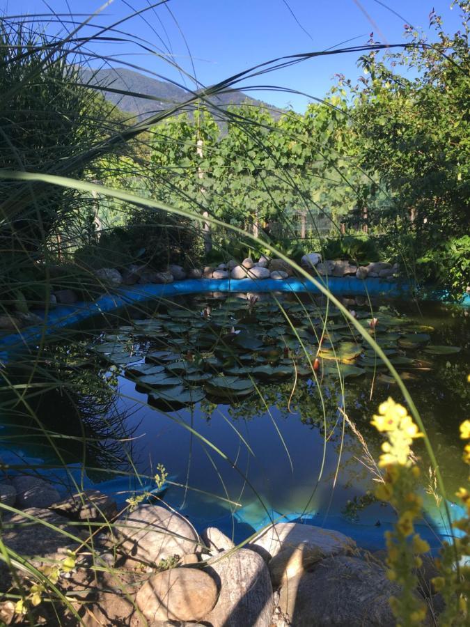 Casa In Koenigs Garten Lejlighed Intragna Eksteriør billede